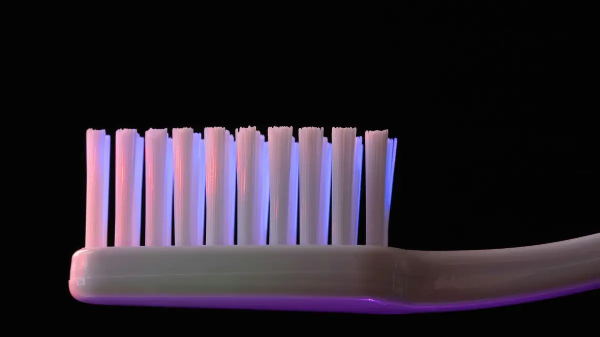 Who Invented the Toothbrush