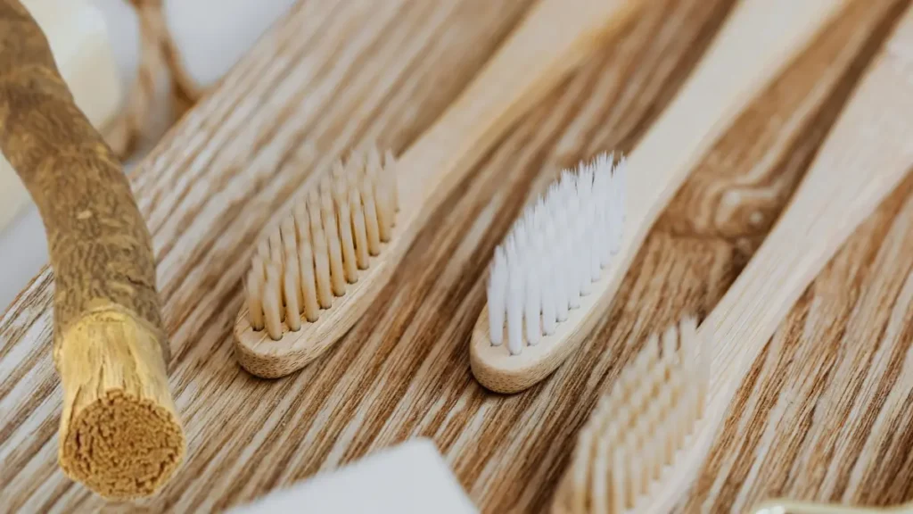 Toothbrush and chewing sticks